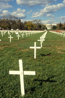 Crosses on the Ellipse