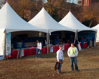 Heart Walk, Washington, DC - 11/9/2013